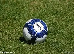 普陀游泳学,校热切期待,泳坛新星加,大发彩神,彩票平台,安全购彩,彩票投注,快速开奖