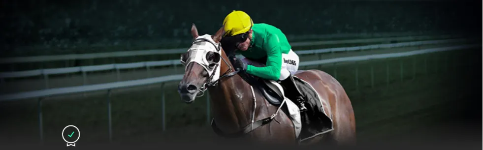 国米战胜乌,迪内斯,意甲焦点战,大发彩神,彩票平台,安全购彩,彩票投注,快速开奖