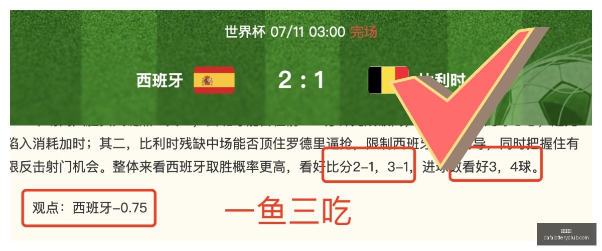 前瞻,瑞典超独苗,佐加顿斯,大发彩神,彩票平台,安全购彩,彩票投注,快速开奖